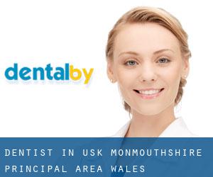 dentist in Usk (Monmouthshire principal area, Wales)