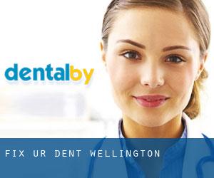Fix-Ur-Dent (Wellington)