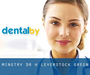 Minstry Dr H (Leverstock Green)